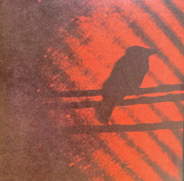 A Silver Mt. Zion - Born Into Trouble As The Sparks Fly Upward.
