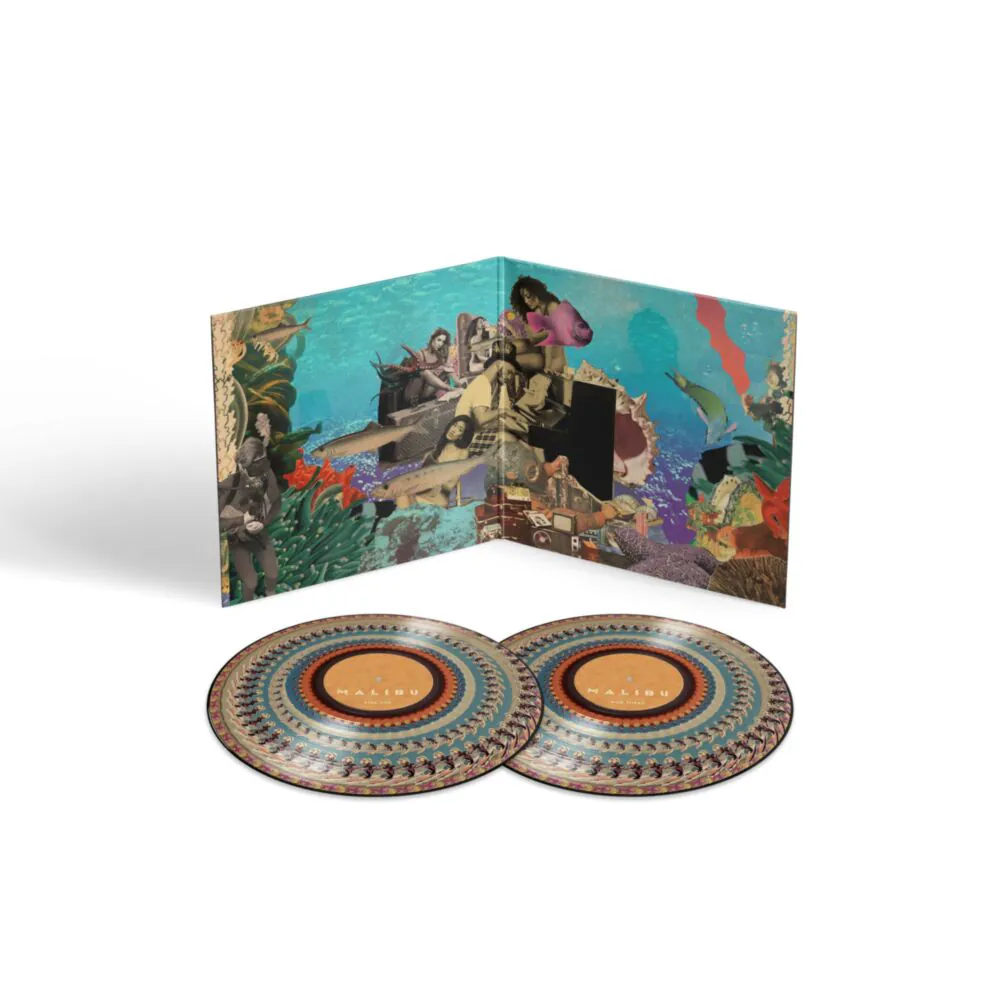 Anderson .Paak - Malibu (Zoetrope Vinyl LP) - Image 2