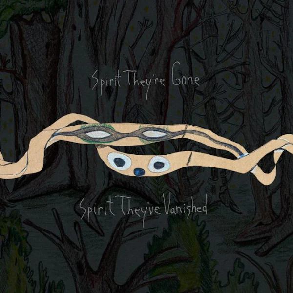 Animal Collective - Spirit They're Gone, Spirit They've Vanished (Green LP) - Image 3