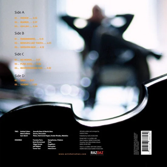 Avishai Cohen - At Home (LP) - Image 2