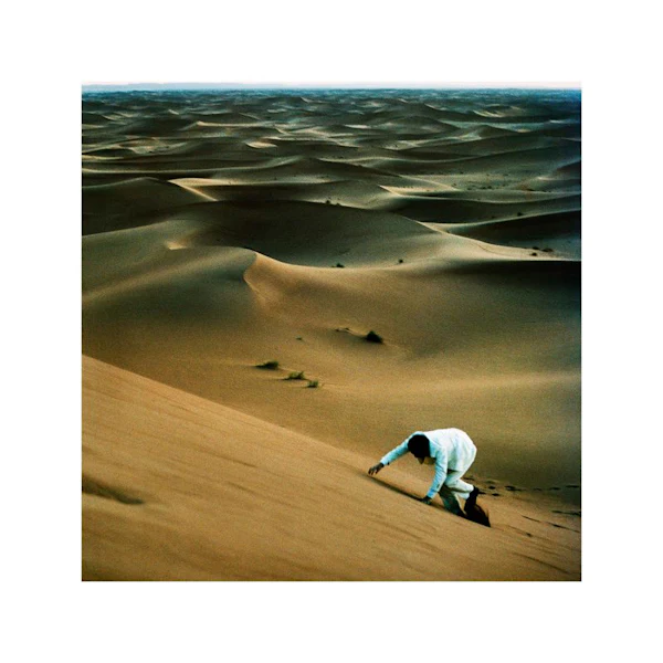 Baxter Dury - Prince of Tears (LP)