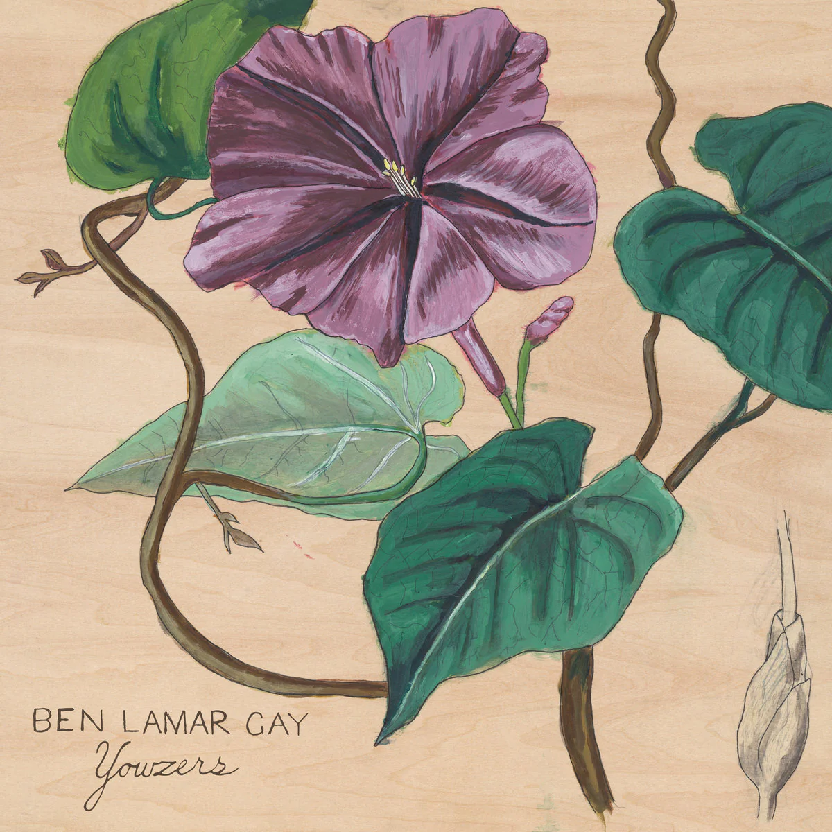 Ben Lamar Gay - Yowzers (Coloured Vinyl, Purple (Replica) Ticket LP) - Image 2