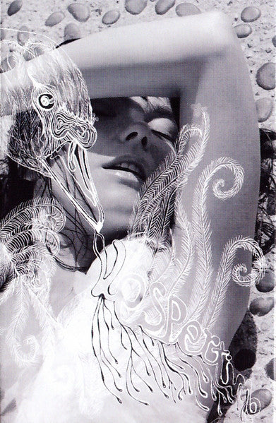 Björk - Vespertine