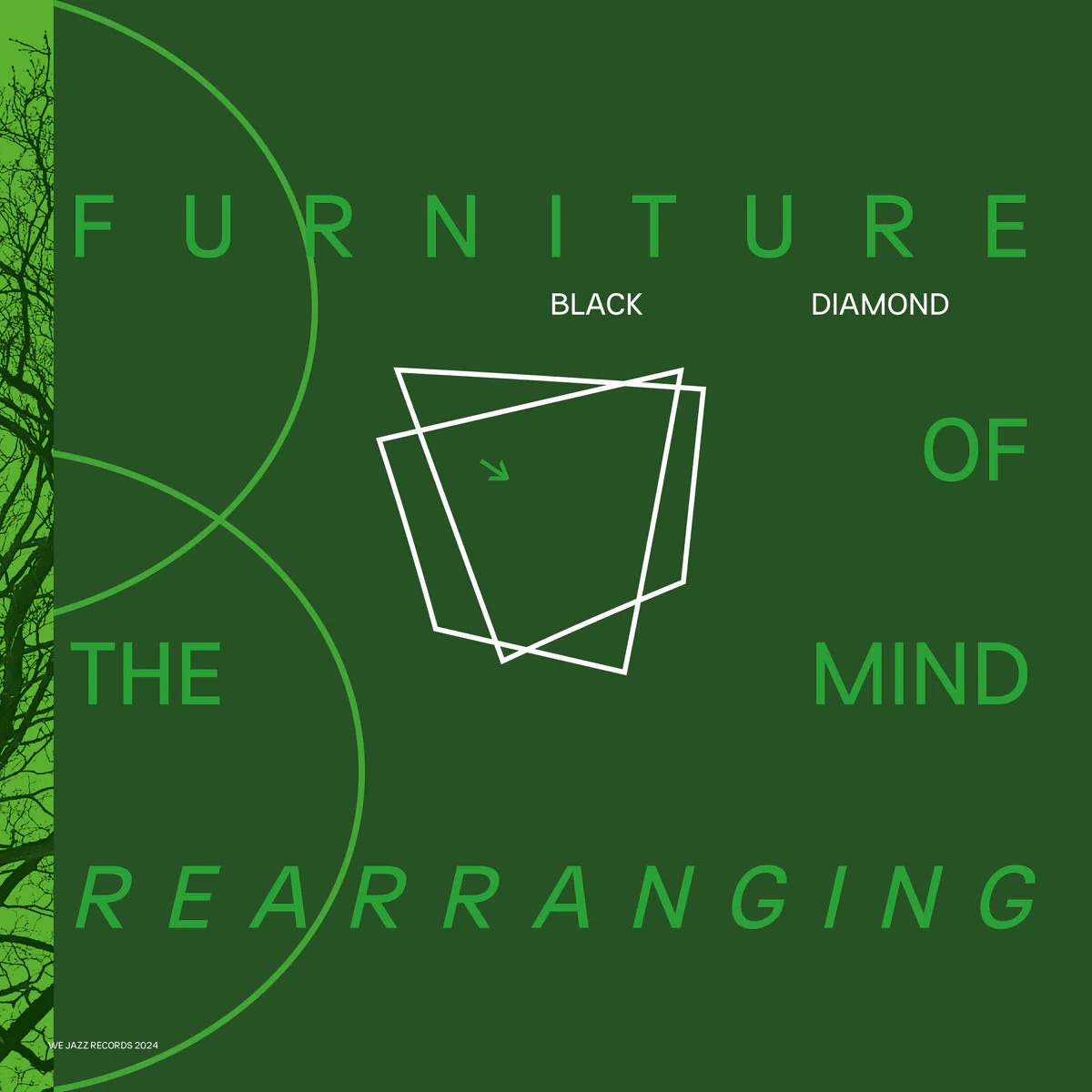 Black Diamond - Furniture of the Mind Rearranging (LP) - Image 2