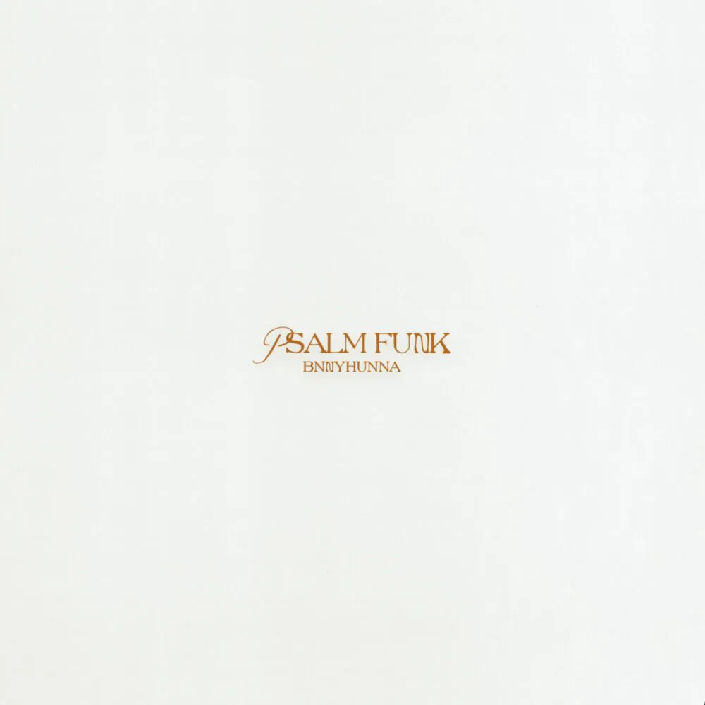 Bnnyhunna - Psalm Funk (Brown Vinyl LP) - Image 2