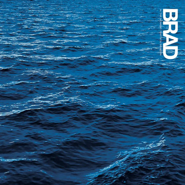 Brad - In the Moment That You're Born (LP)