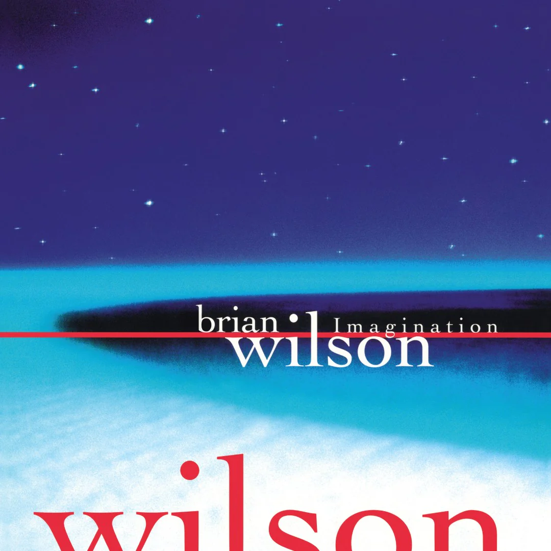 Brian Wilson - Imagination (140g Black vinyl LP) - Image 2