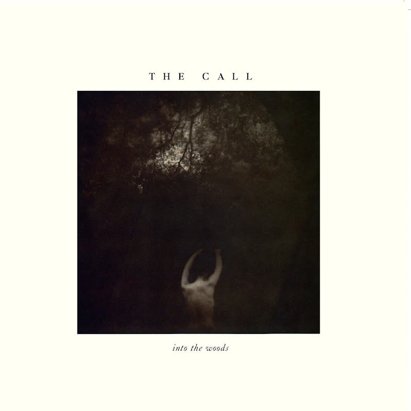 Call - Into the Woods (White Coloured LP) - Image 3