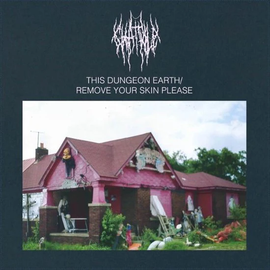 Chat Pile - This Dungeon Earth / Remove Your Skin Please (LP) - Image 2