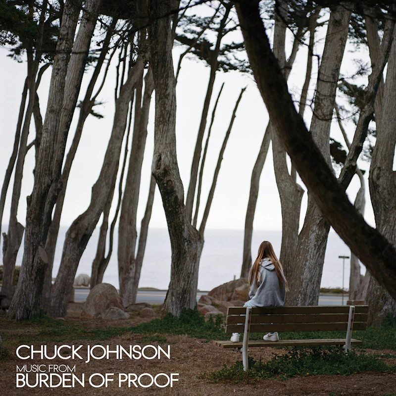 Chuck Johnson - Burden of Proof (Silver LP) - Image 3