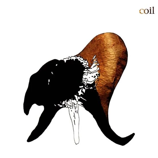 Coil - Black Antlers (Clear Coloured LP) - Image 2