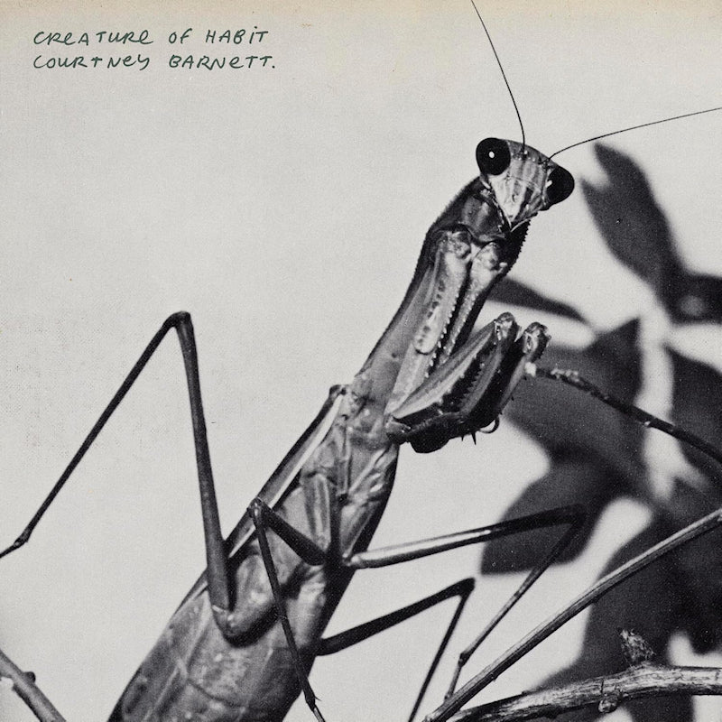 Courtney Barnett - Creature Of Habit (LP) - Image 2