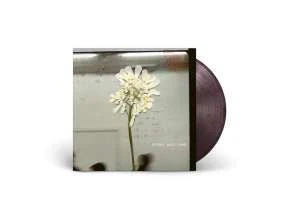Daughter - Stereo Mind Game (Coloured LP) - Image 2