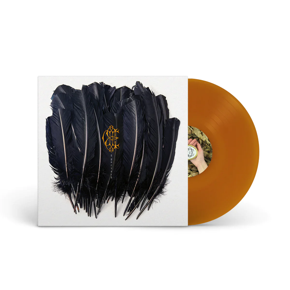 David Eugene Edwards - Hyacinth (Coloured Vinyl)