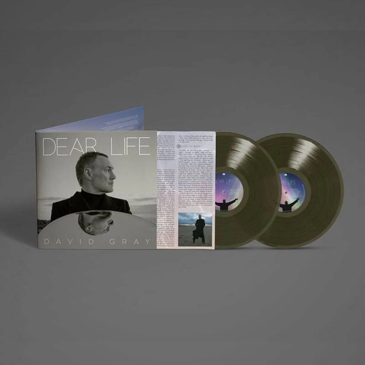 David Gray - Dear Life (Seaweed Green LP) - Image 2