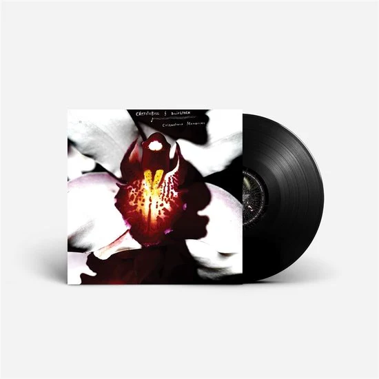 David Lynch & Chrystabell - Cellophane Memories - Image 2