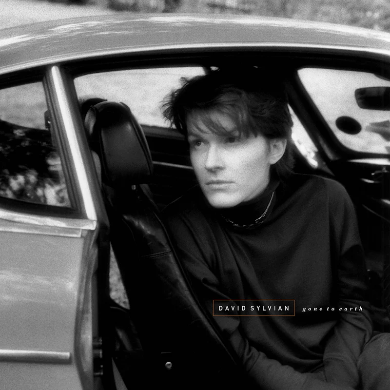 David Sylvian - Gone to Earth (Coloured Vinyl LP) - Image 2