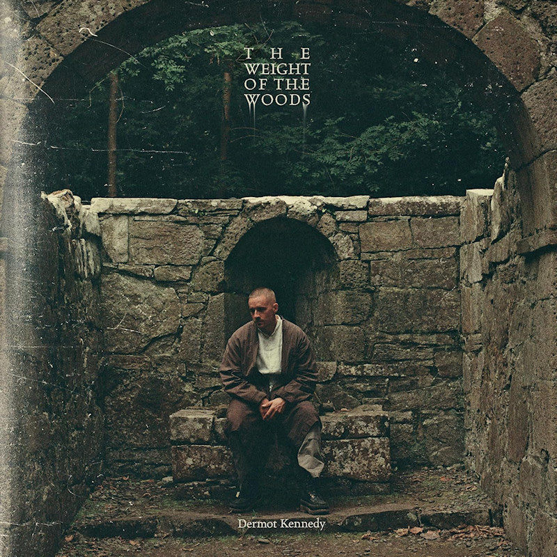 Dermot Kennedy - The Weight of the Woods (LP) - Image 2
