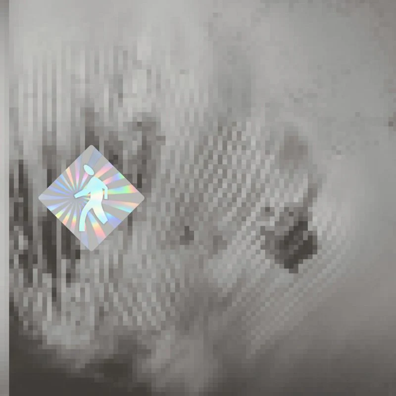 Discovery Zone - Quantum Web (LP)