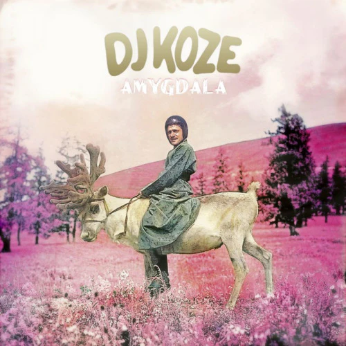 dj koze - amygdala (LP)