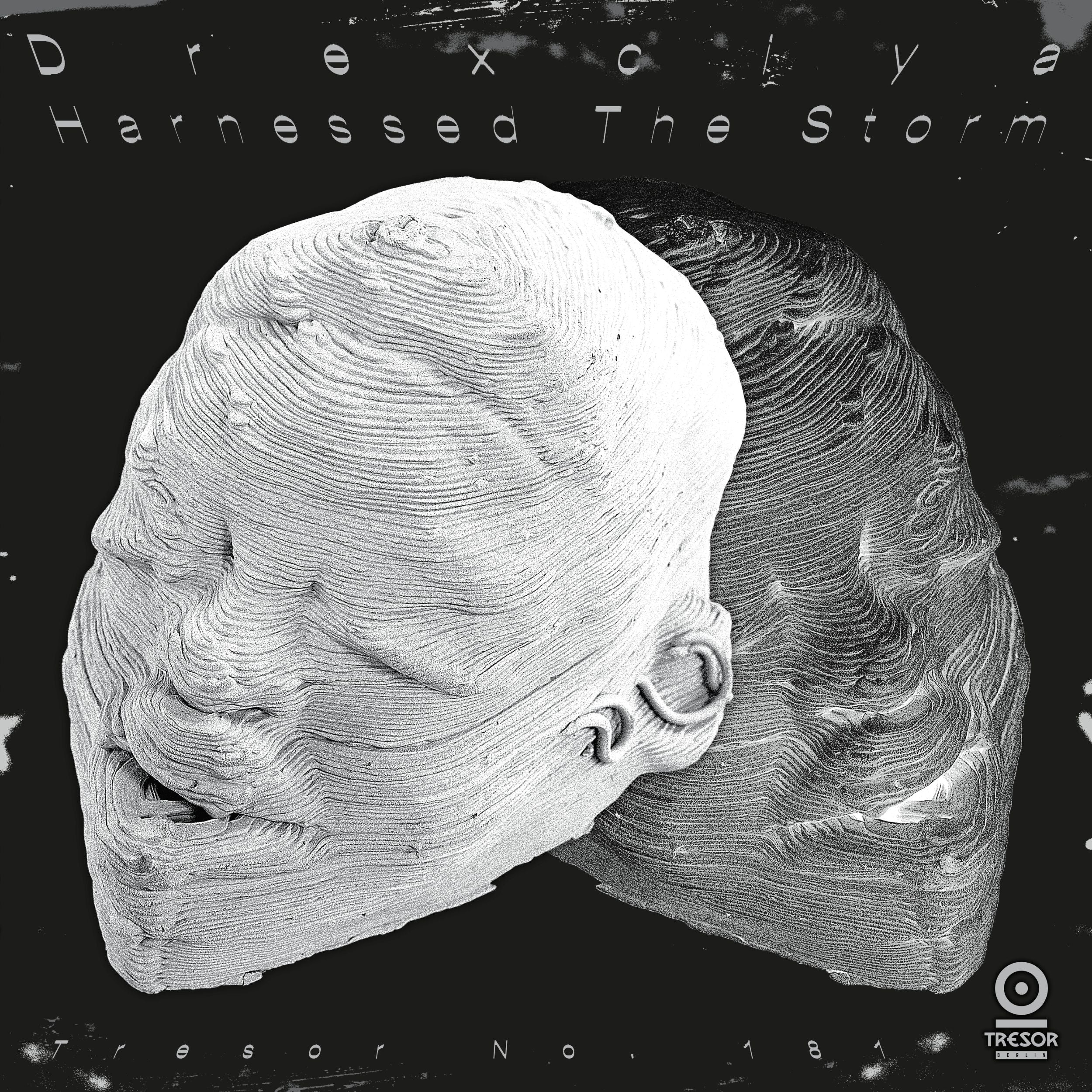 Drexciya - Harnessed The Storm (LP)