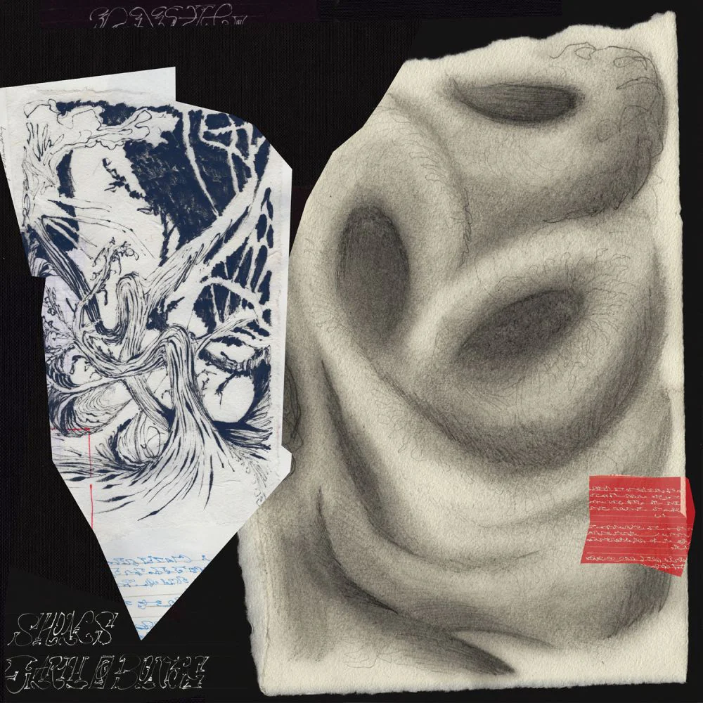 Earth and Bones - Shoals (LP) - Image 2