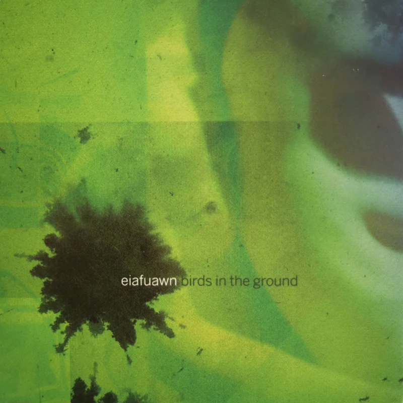 Eiafuawn - Birds In The Ground (LP) - Image 2
