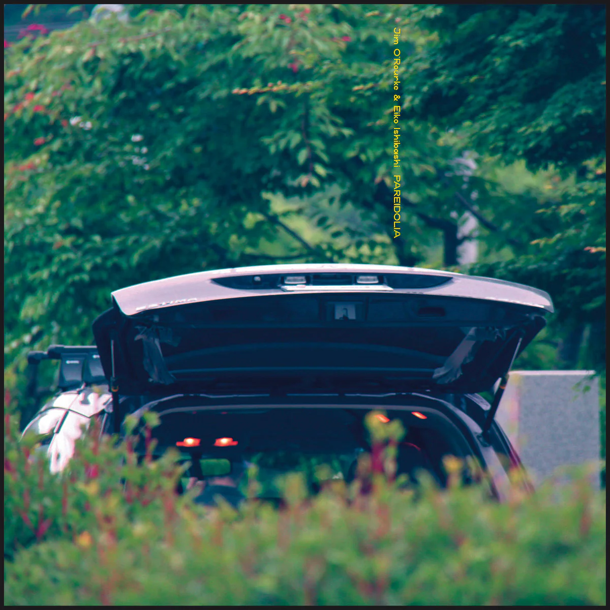 Eiko Ishibashi & Jim O'Rourke - Pareidolia (LP) - Image 2