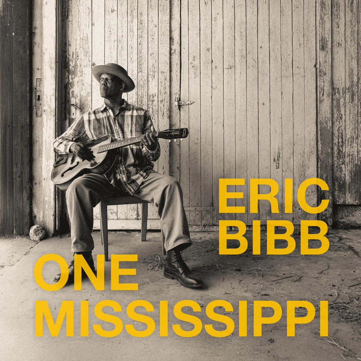 Eric Bibb - One Mississippi (LP) - Image 2