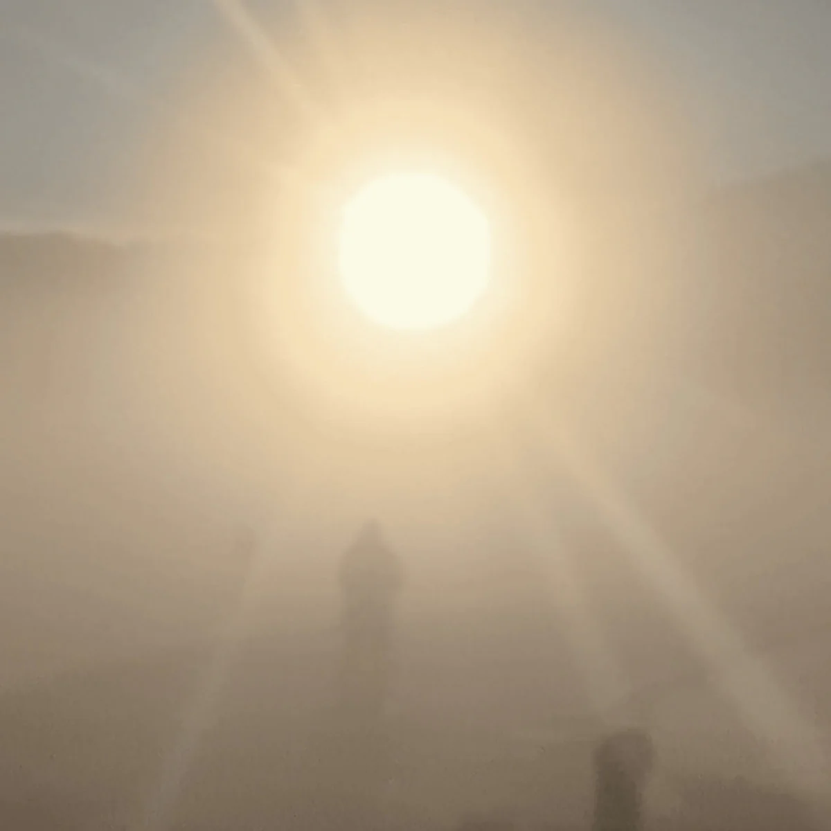 Florian T M Zeisig - A New Life (LP)