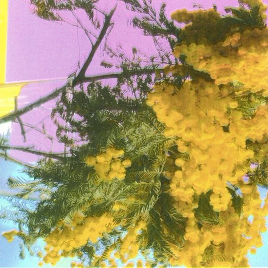 Four Tet - Into Dust (Single Sided 12") - Image 2