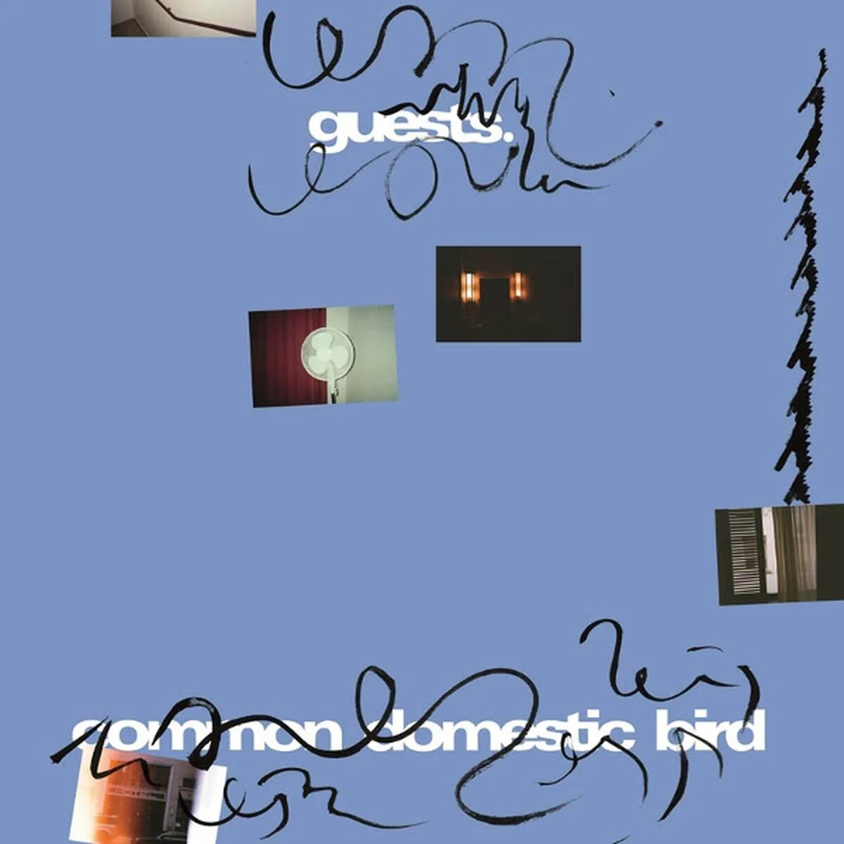 Guests - Common Domestic Bird (LP) - Image 2