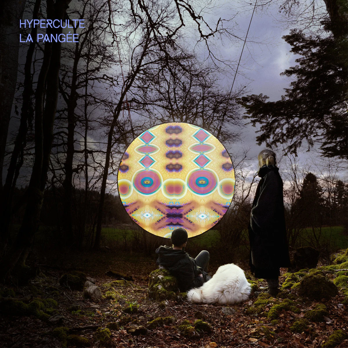 HYPERCULTE - LA PANGÉE (LP) - Image 2
