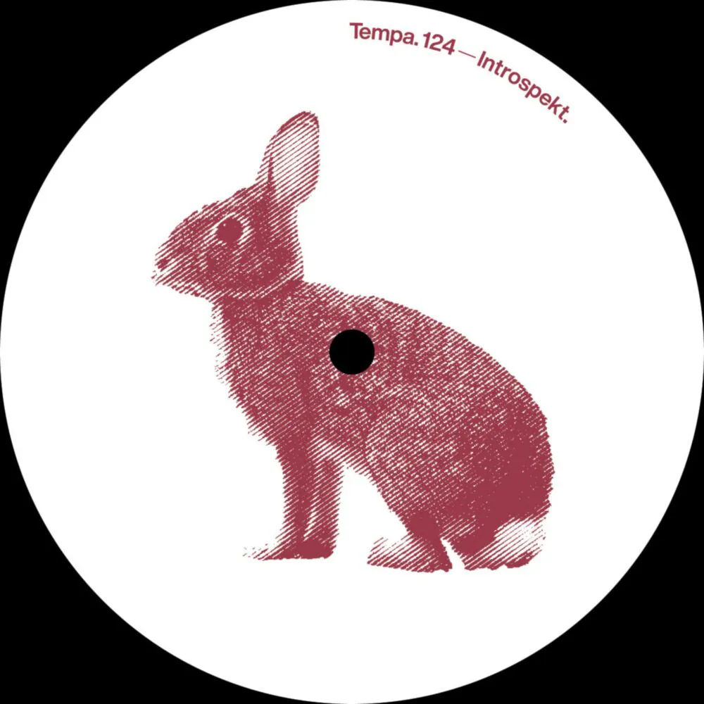 Introspekt - Unearthed Technology (12") - Image 2