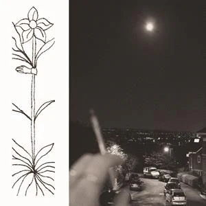 Jabu - A soft and gatherable star (LP) - Image 2