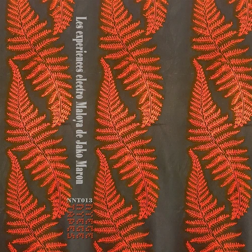 Jako Maron - The Electro Maloya Experiments Of Jako Maron