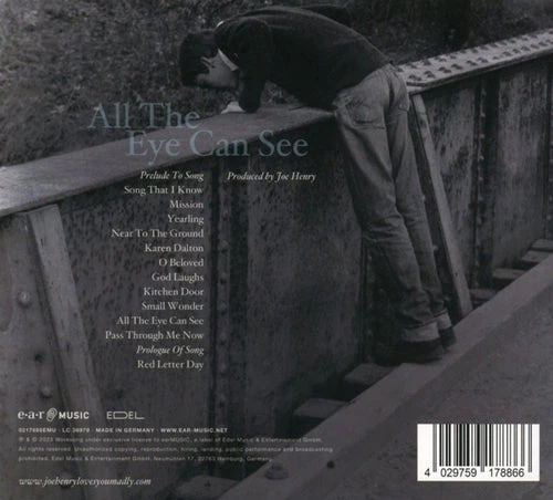 Joe Henry - All the Eye Can See (CD) - Image 2