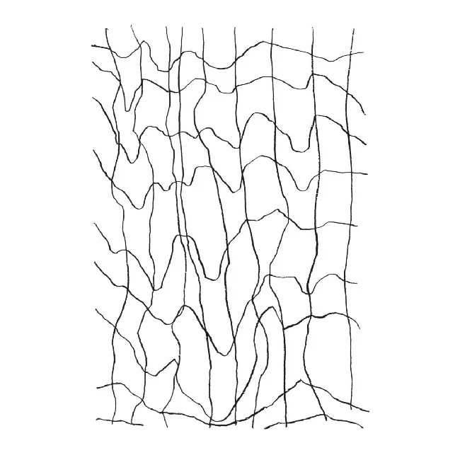 Joost M. de Jong jr. - Studies / Studien / Etudes (LP)