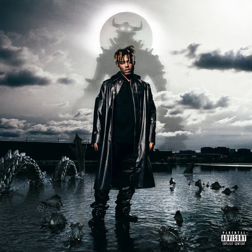 Juice WRLD - Fighting Demons (LP) - Image 2