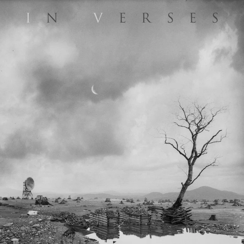 Karnivool - In Verses (Grey Vinyl LP)
