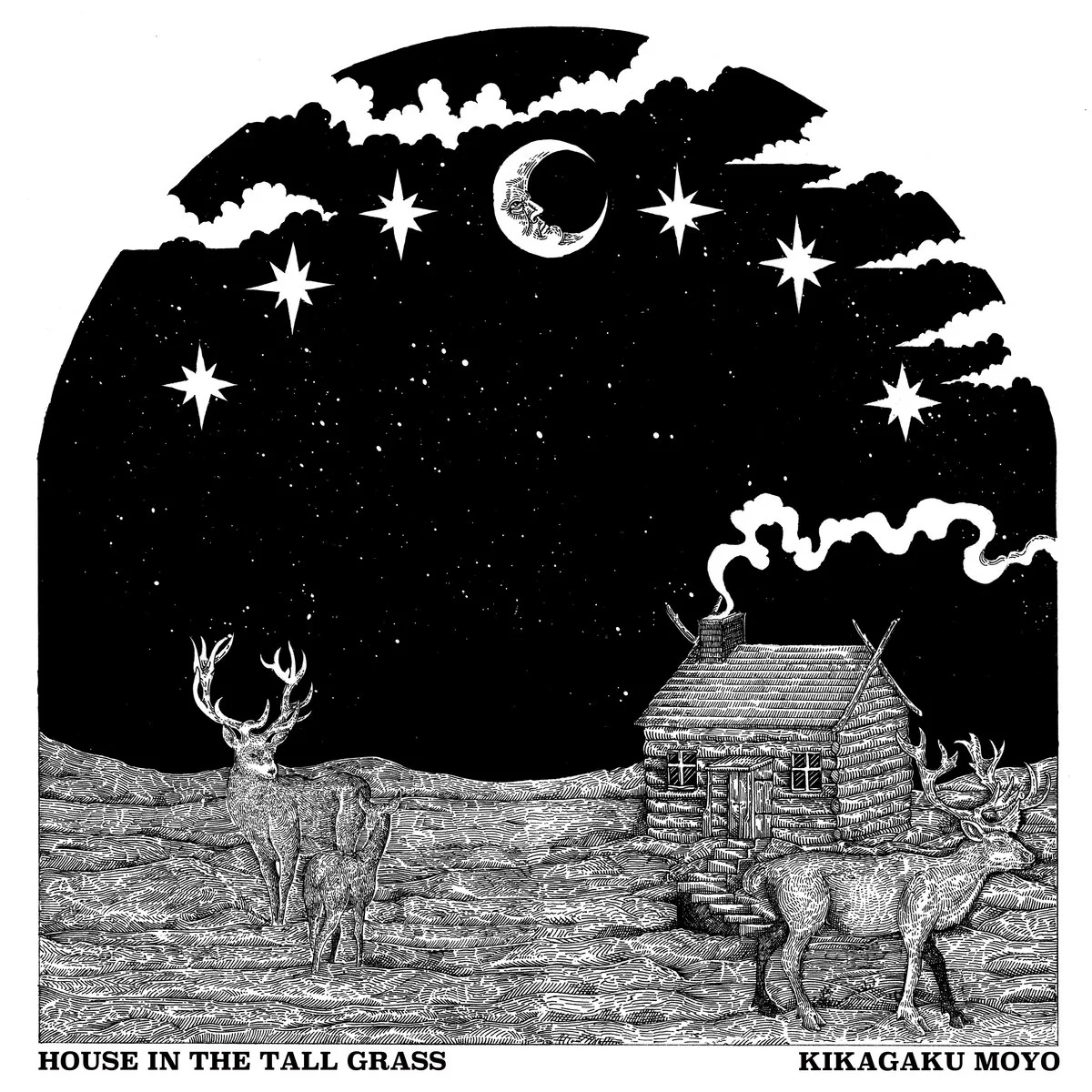 Kikagaku Moyo - House In The Tall Grass (2022 Repress) (LP)