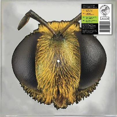 King Gizzard & The Lizard Wizard - Big Fig Wasp (Shaped Vinyl 12") - Image 2
