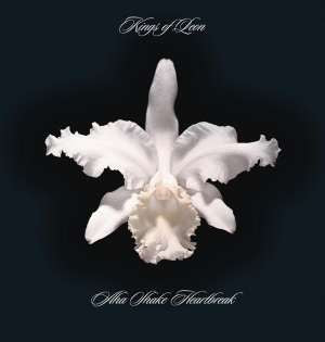 Kings of Leon - Aha Shake Heartbreak (LP)