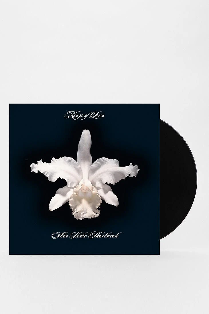 Kings of Leon - Aha Shake Heartbreak (LP) - Image 2