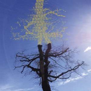 Laetitia Sadier - Rooting For Love (LP) - Image 2