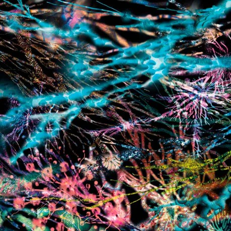 LCSM (Likwid Continual Space Motion) - The Remedy (LP) - Image 2