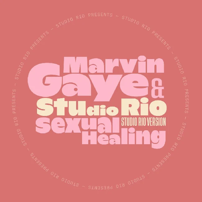 Marvin Gaye & Studio Rio - Sexual Healing (7")