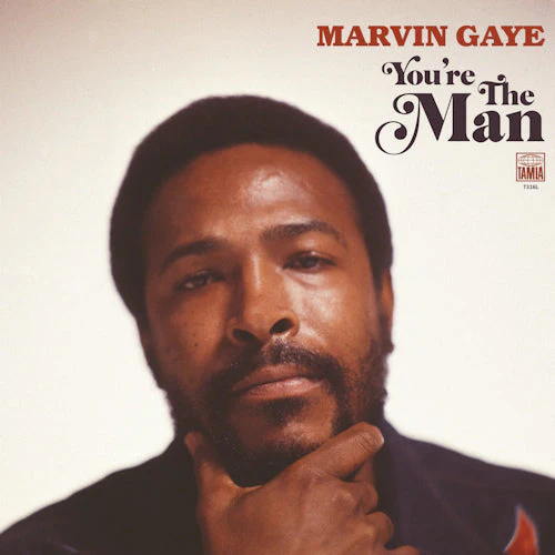 Marvin Gaye - You're The Man (LP) - Image 4