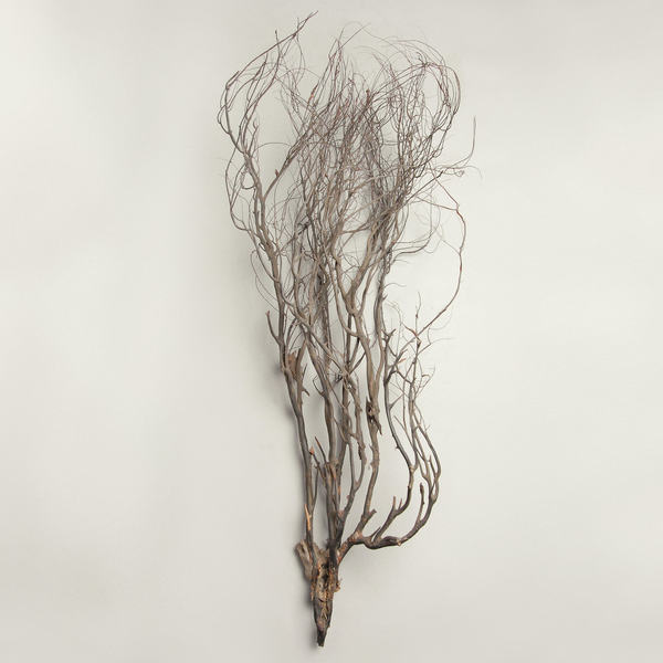 Mary Jane Leach - Woodwind Multiples (Clear LP)