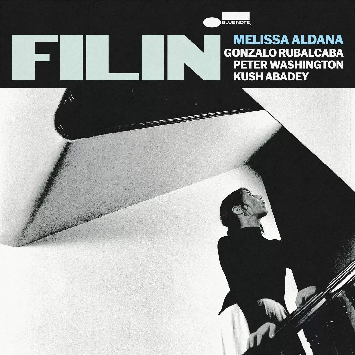 Melissa Aldana - Filin (LP) - Image 2